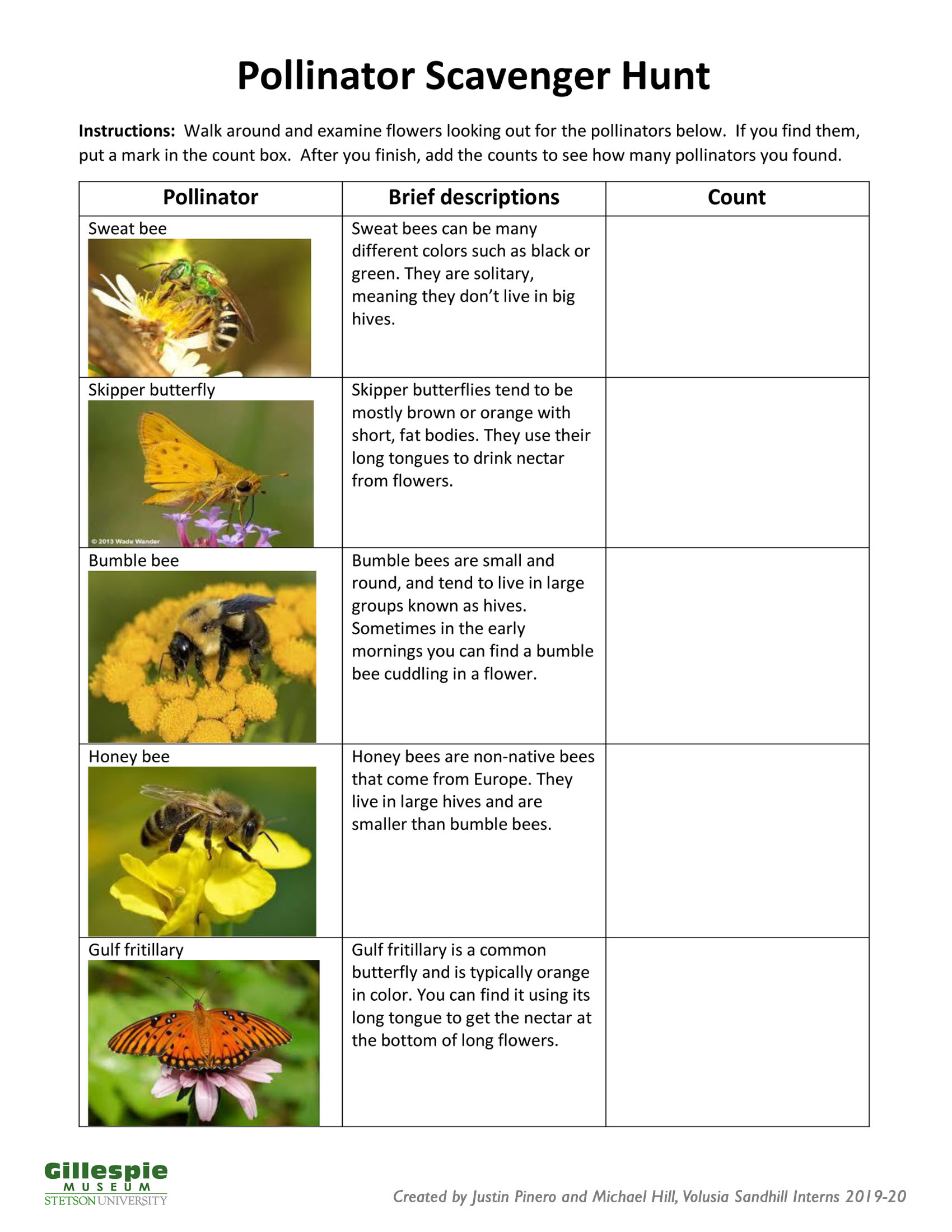 Volusia Sandhill Ecosystem Gillespie Museum Stetson University